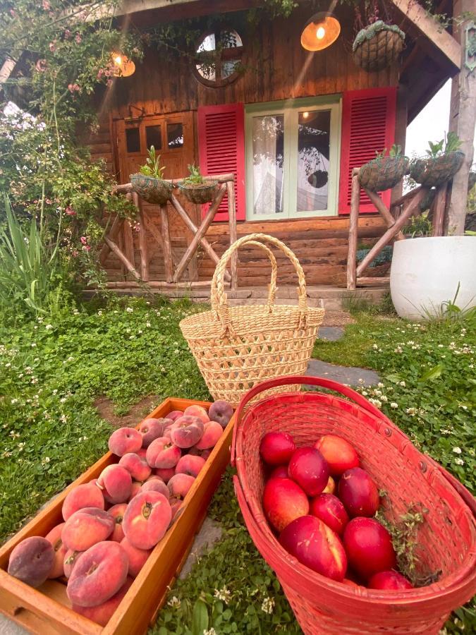 Meena Bagh Ratnari- An Apple Orchard Bungalow Bagi Buitenkant foto