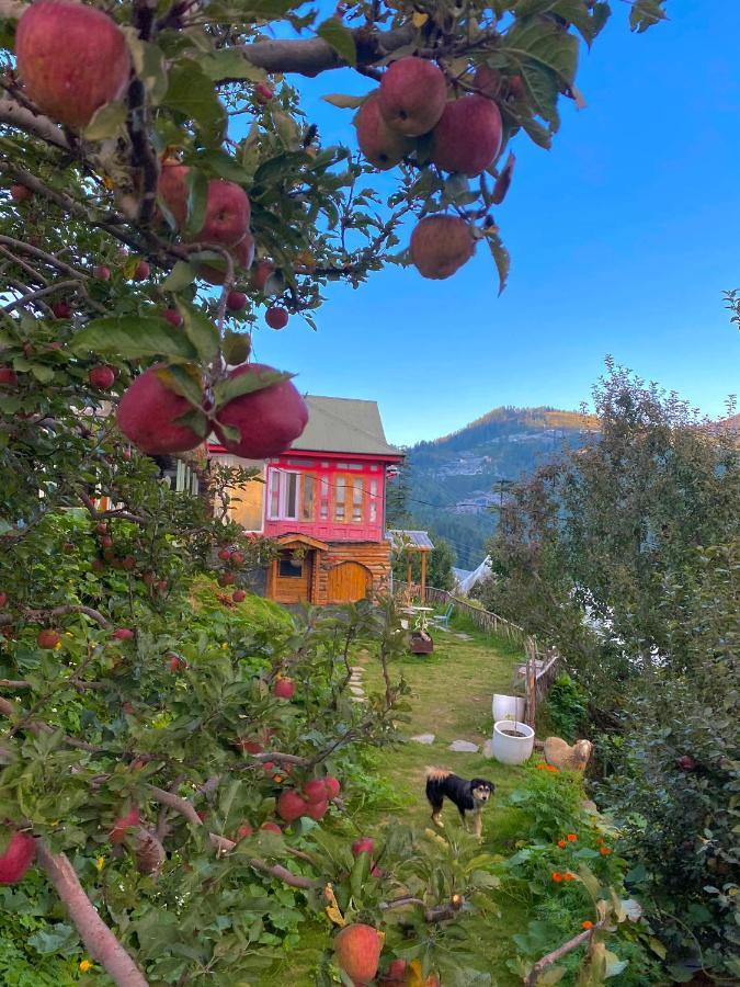 Meena Bagh Ratnari- An Apple Orchard Bungalow Bagi Buitenkant foto