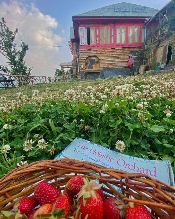 Meena Bagh Ratnari- An Apple Orchard Bungalow Bagi Buitenkant foto