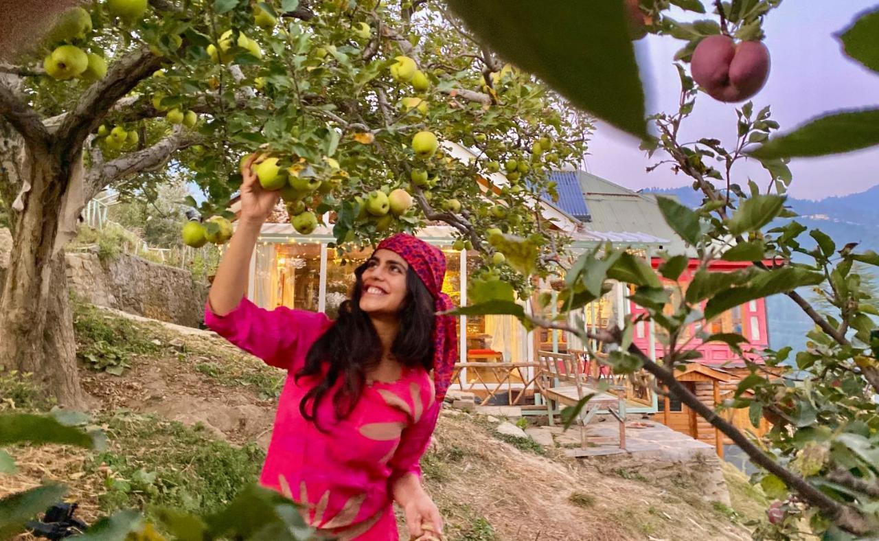Meena Bagh Ratnari- An Apple Orchard Bungalow Bagi Buitenkant foto